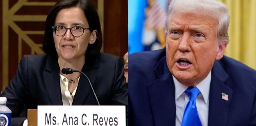 Le retrait brutal du juge nourri de l'avocat de Trump DOJ sur le cas de l'interdiction militaire trans est * la perfection du chef * du chef *