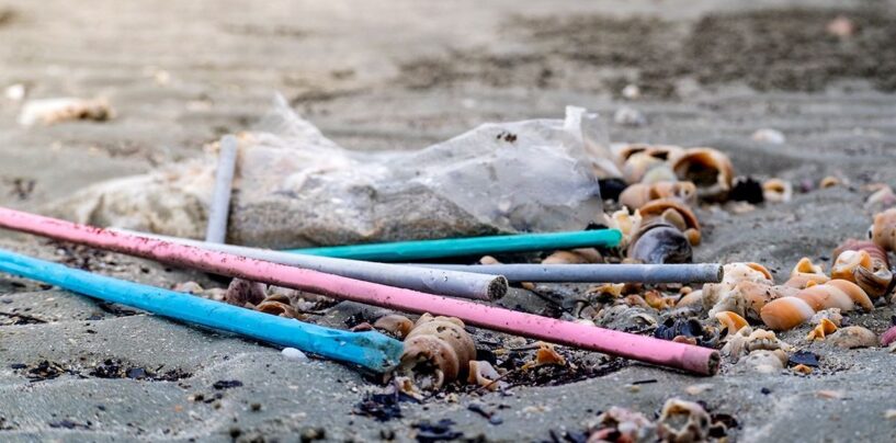 Préoccupé par les pailles en plastique? Voici ce que vous pouvez faire pour inverser l'impact du changement climatique