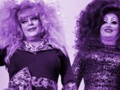 Peaches Christ dit qu'elle a été «  retraumatisée '' par la police enquêtant sur la mort de l'icône de la traînée Heklina