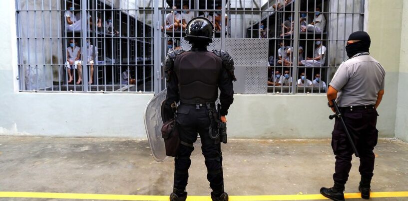 Le maquilleur gay expulsé a pleuré pour la mère en prison, dit photojournaliste