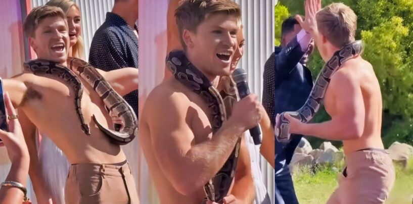 Torse nu Robert Irwin a révélé comme un concurrent «DWTS» – espérons qu'il apportera son gros serpent