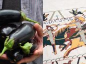 Le débat sur le nombre de pénis sur la tapisserie médiévale arrive à la tête