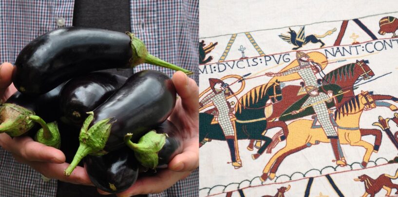 Le débat sur le nombre de pénis sur la tapisserie médiévale arrive à la tête