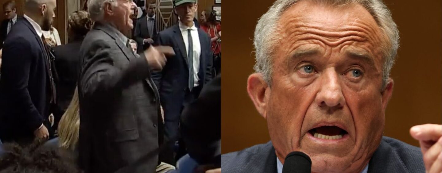 Breaking Ben & Jerry's Co-Fondateur a traîné de RFK Jr. Audience par sécurité pour protester