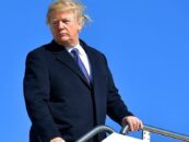 Boo-hoo! Un Trump pétulant gémit à propos de voler sur la majestueuse Air Force One