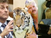 Top 11 LGBTQ + True Crime Docs et comment les regarder