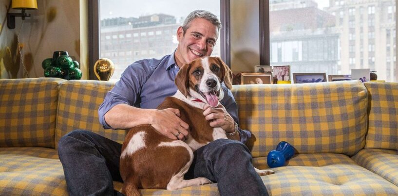 Les avantages de vente de meubles haut de gamme d'Andy Cohen Andy Cause LGBTQ +