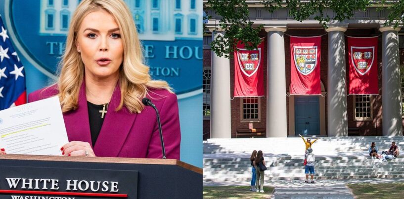 Karoline Leavitt: Trump veut «moins de majors diplômés LGBTQ de Harvard
