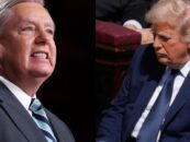 Lindsey Graham, le monsignant de Maga, dans sa capitulation la plus offensive à ce jour, dit que Trump devrait être le pape