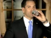 Marco Rubio a eu du mal à siroter de l'eau mais n'a plus de problèmes à boire le Kool-Aid