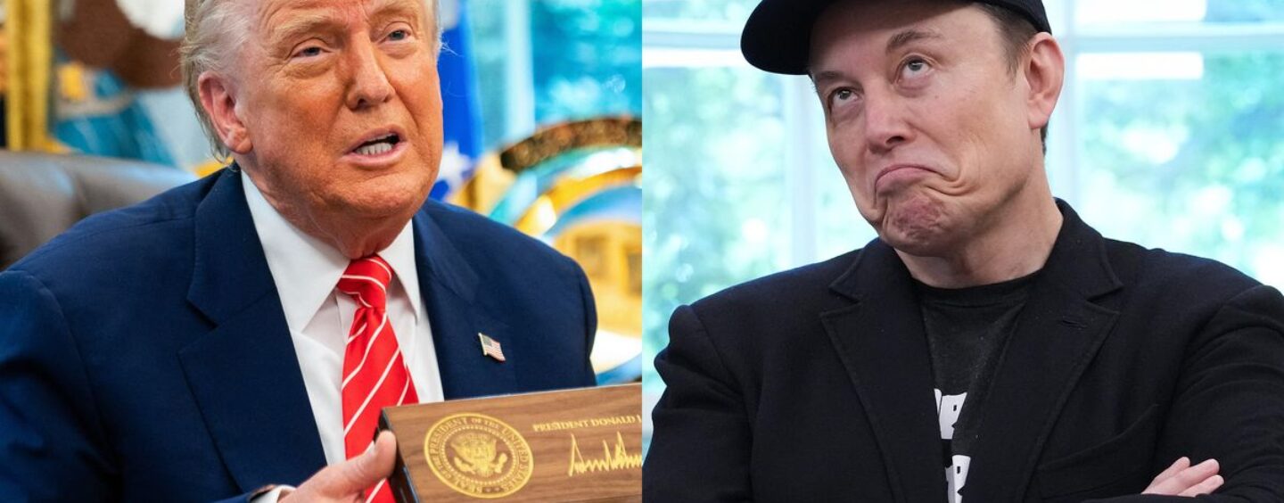 Elon Musk vient d'humilier Trump, la bromance est terminée et Internet rôtit