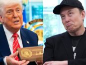 Elon Musk vient d'humilier Trump, la bromance est terminée et Internet rôtit