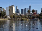 Suspect arrêté dans une série d'attaques contre le commerçant transgenre de Los Angeles
