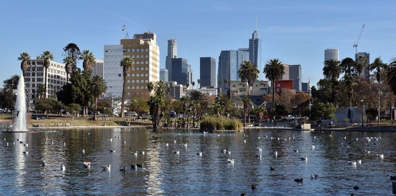 Suspect arrêté dans une série d'attaques contre le commerçant transgenre de Los Angeles