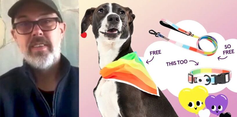 Le PDG de Barkbox s'excuse pour avoir divulgué un message exposant les publicités de fierté interrompues – mais ils sont toujours en pause