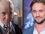Le point de vue pathétique de la star de la star de la star de Tom Felton sur la transphobie de JK Rowling est un privilège de pointe cis
