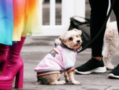 15 photos de NYC WOOF FEST: PAWS FOR PRIDE 2025 qui prouve que les chiens et les drag queens sont le combo le plus mignon