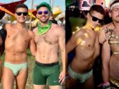 La forêt électrique est une expérience unique pour tout le monde dans la communauté LGBTQ +