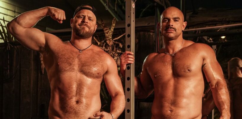 La star adulte Patrick McDonald se déverse sur sa relation ouverte «bizarre» avec Logan Stevens