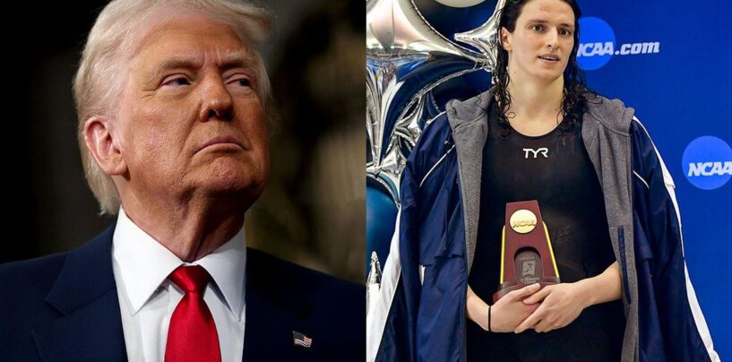 Upenn interdit les athlètes féminines trans, bandes lia thomas de titres