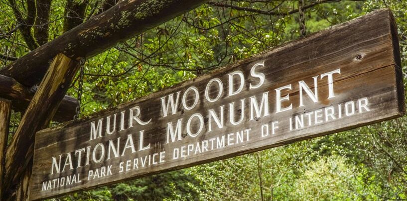 Les contributions des femmes et le racisme masculin effacés de l'histoire du monument national