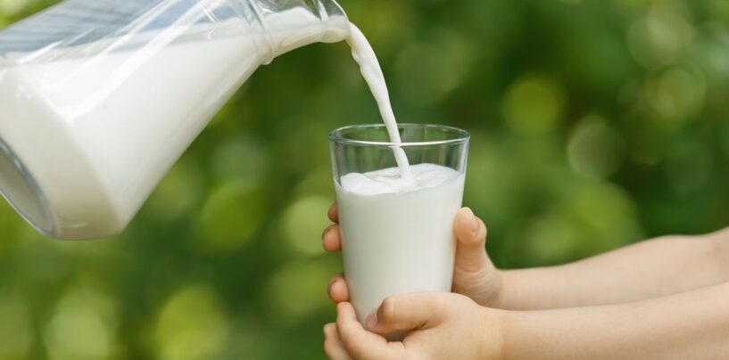 Les gays boivent à nouveau du lait – voici pourquoi