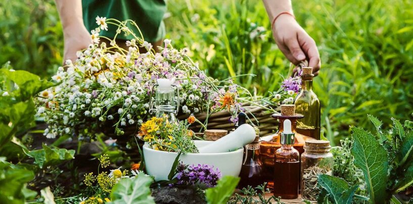 Qu'est-ce que la magie aux herbes? Comment les personnes LGBTQ + peuvent récolter ses prestations de santé