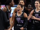 Un jeu WNBA a été interrompu par un jouet sexuel volant et le jeu n'a jamais été plus gay