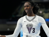 Les jouets sexuels volants continuent d'interrompre les jeux WNBA et les joueurs appellent