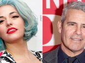 L'ancien de la piste du projet allègue qu'Andy Cohen était plus un «prédateur» sur le plateau que Harvey Weinstein