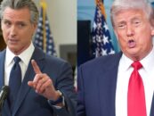 15 des rôtis de Trump les plus brutaux de Gavin Newsom qui ont le caquetage gauche et Maga fondre