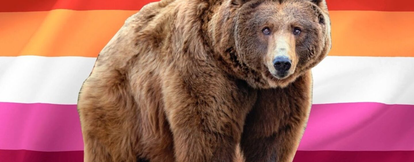 Qu'est-ce qu'un ours lesbien? Un expert sexuel LGBTQ + nous donne la baisse de ce type saphique