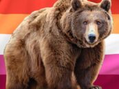 Qu'est-ce qu'un ours lesbien? Un expert sexuel LGBTQ + nous donne la baisse de ce type saphique