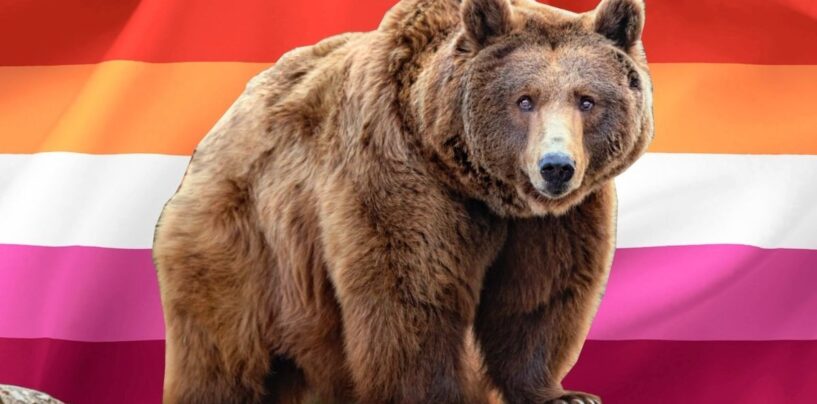 Qu'est-ce qu'un ours lesbien? Un expert sexuel LGBTQ + nous donne la baisse de ce type saphique