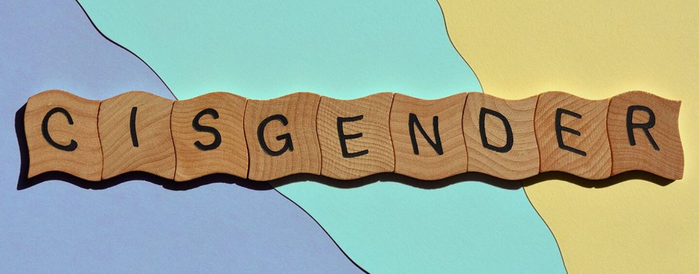 Les consultants démocrates disent aux politiciens de cesser d'utiliser des termes comme «LGBTQIA» et «Cisgender»