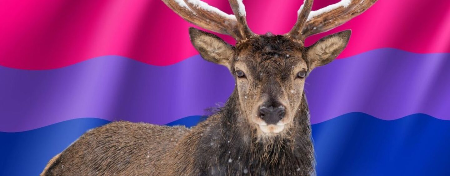 Qu'est-ce qu'un bisexuel «Soft Stag»? Les experts LGBTQ + Sex and Dating expliquent le type saphique