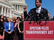 Democrat Ro Khanna sur l'avenir des fichiers d'Epstein, le redécoupage et les commentaires récents sur la liberté d'expression