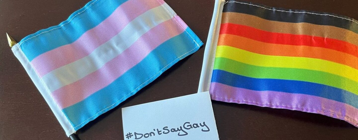 Les candidats dans 85% des élections mondiales se sont déroulées sur des points de discussion anti-LGBTQ + en 2024: Étude