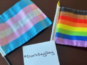Les candidats dans 85% des élections mondiales se sont déroulées sur des points de discussion anti-LGBTQ + en 2024: Étude