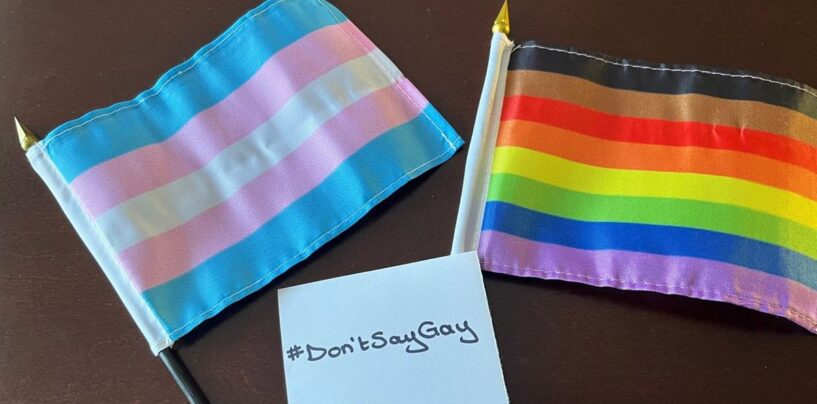 Les candidats dans 85% des élections mondiales se sont déroulées sur des points de discussion anti-LGBTQ + en 2024: Étude