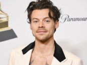 Harry Styles devient viral pour les photos et les gays de vacay sexy sont trempés