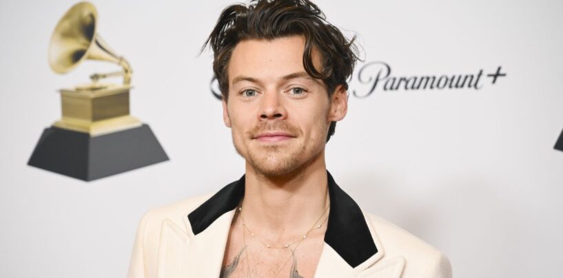 Harry Styles devient viral pour les photos et les gays de vacay sexy sont trempés
