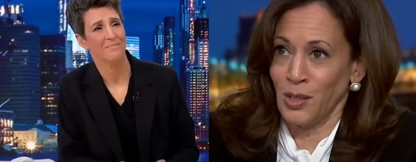 Rachel Maddow confronte Kamala Harris à ne pas choisir Pete Buttigieg comme son colistier parce qu'il est gay