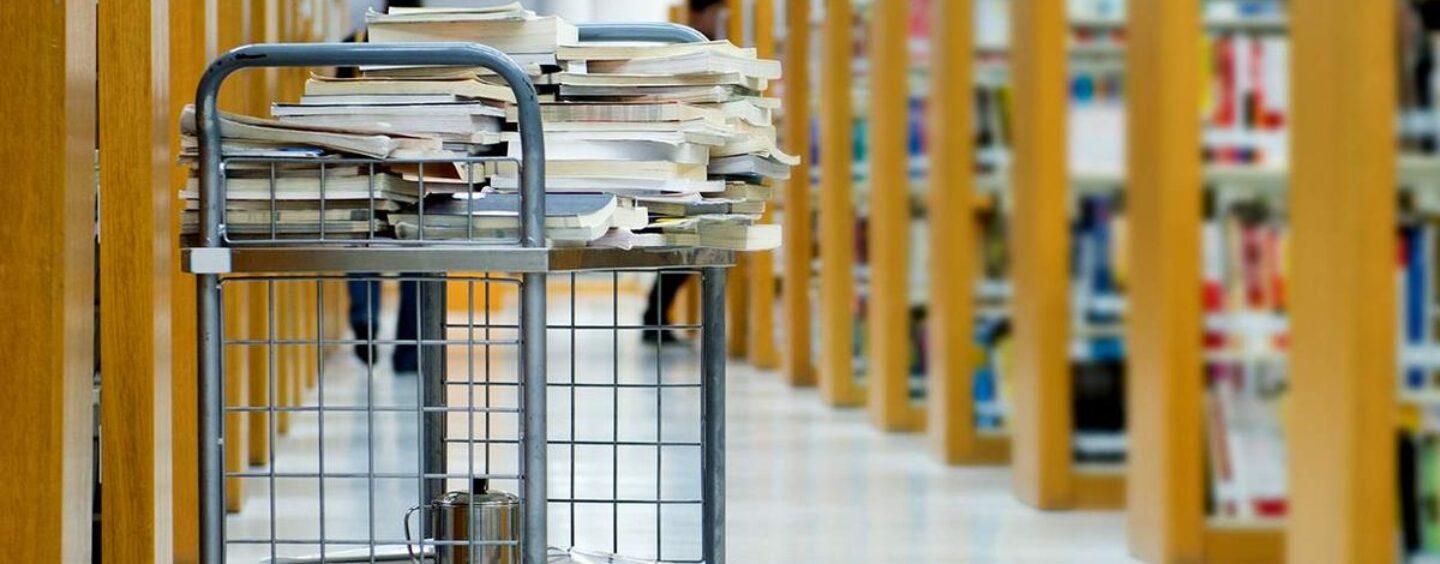 Le directeur de la bibliothèque du Wyoming gagne 700 000 $ après avoir été licencié pour avoir défendu des livres LGBTQ+