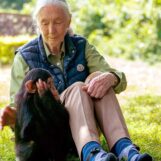 Si vous étiez étonné de ce que Jane Goodall a fait pour notre planète, imaginez ce que vous pourriez faire