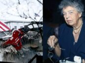 La démolition de l'aile Est de Donald Trump détruit l'héritage queer de la Première Dame Eleanor Roosevelt