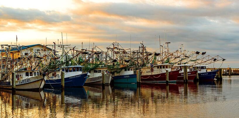 La survie queer au Mississippi et les bars qui nous ont sauvés