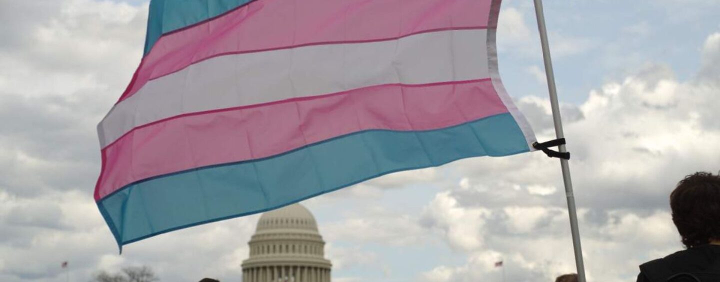 La détransition est rare, mais elle motive quand même la politique anti-trans