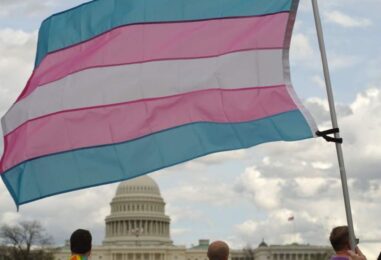 La détransition est rare, mais elle motive quand même la politique anti-trans