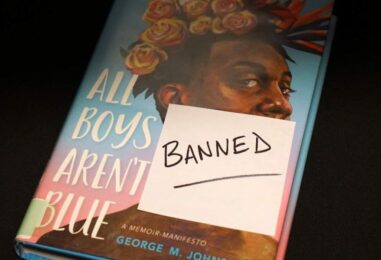 Les États du Sud interdisent les livres transgenres dans les sections YA et pour enfants des bibliothèques